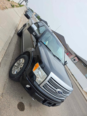 2010 Ford F 150 Platinum