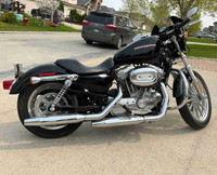 2007 Harley Davidson XL 883 Sportster