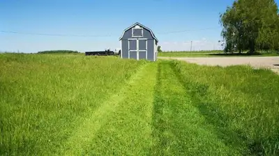 Lawn Mowing and Ditch clearing/trimming, View more