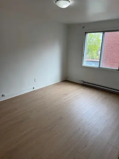 Grand 4 1/2 fraichement peinturé. Nouveau plancher