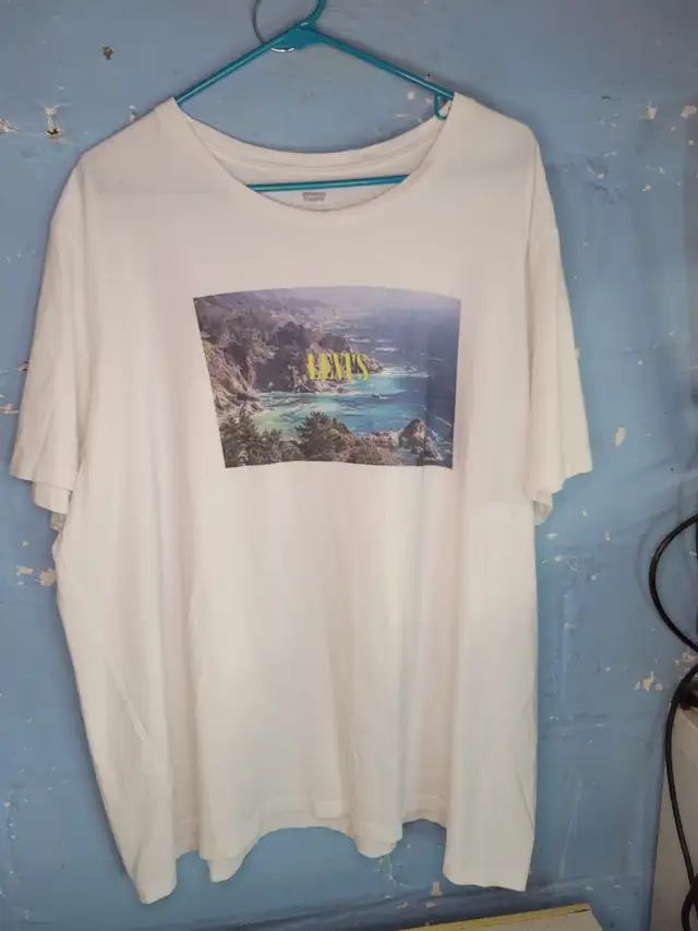 Mens Classic Levi's t shirt with cool graphics 
