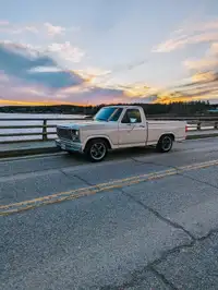 1980 FORD F150