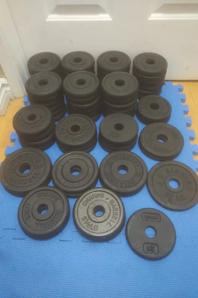 weight plates ($1.35/lbs) in Exercise Equipment in Delta/Surrey/Langley - Image 6