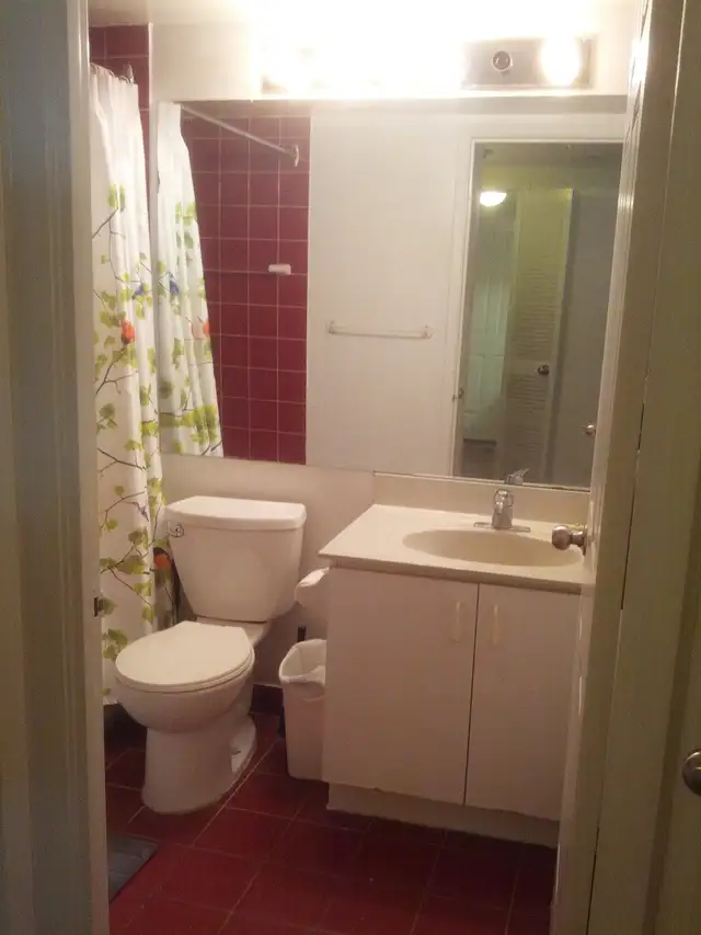 Photo 5