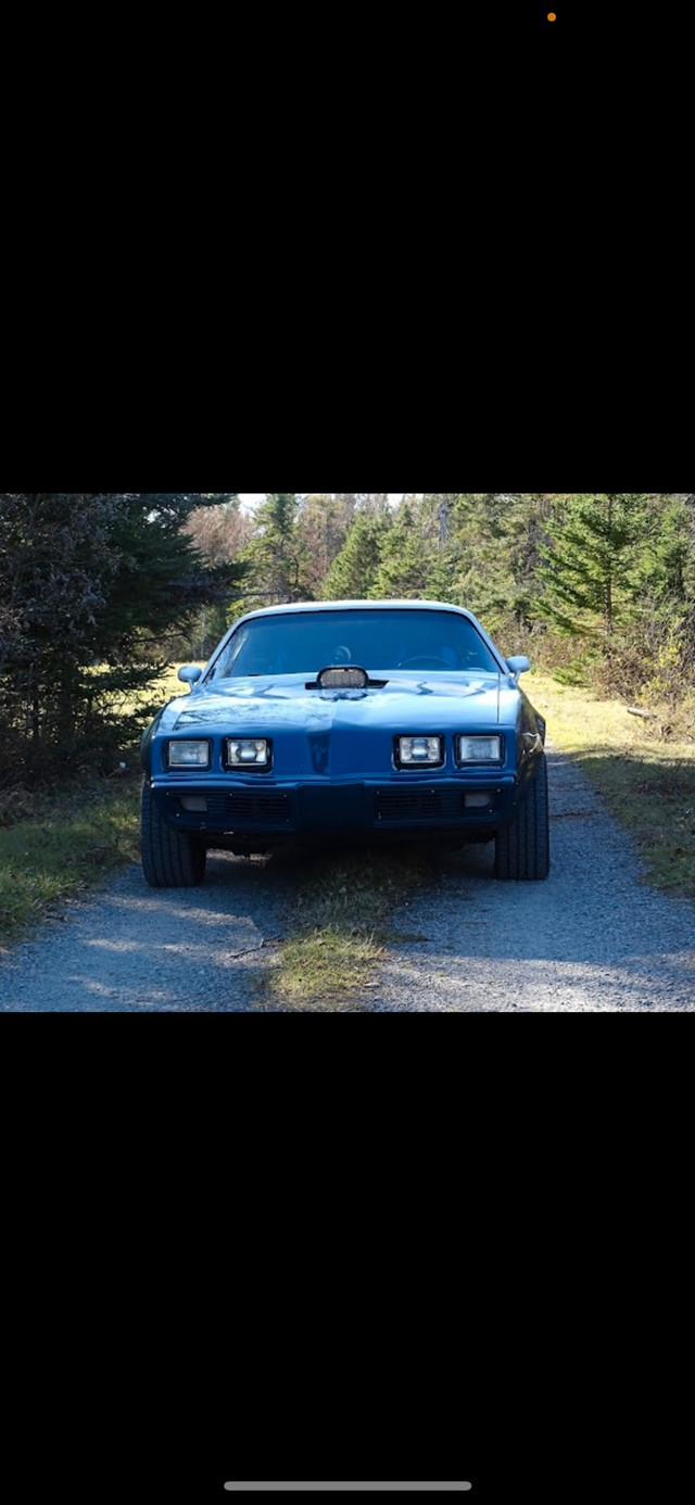 1981 Pontiac firebird  in Classic Cars in Cape Breton - Image 3