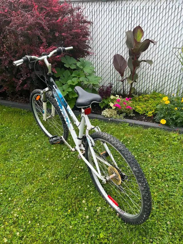 Vélo 26 po Avigo in Cruiser, Commuter & Hybrid in Laval / North Shore - Image 8