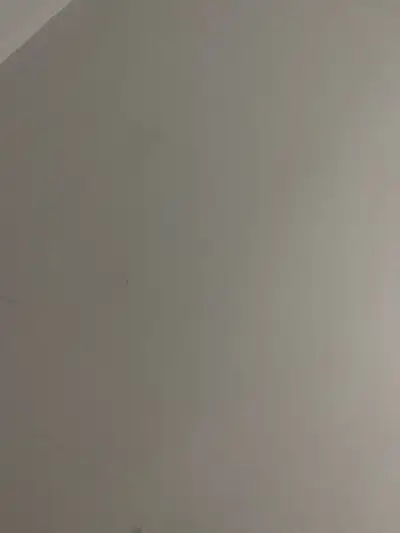 Looking for job, View more