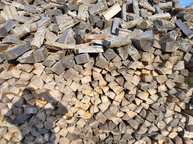 Hardwood Firewood Ready to Burn in Other in Napanee