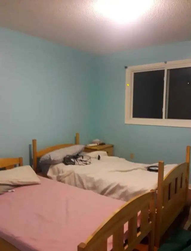 PROFESSIONAL PAINTER  in Painters & Painting in Mississauga / Peel Region - Image 10