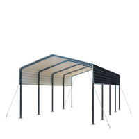 Metal Shelter / Carport 12’ x 20’