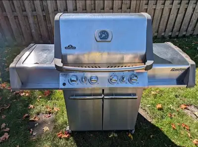 Barbecue BBQ Napoleon Prestige, View more