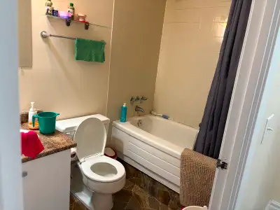 One bed room available from July 1st
