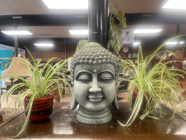 Assortment of Potted Plants  in Home Décor & Accents in Thunder Bay - Image 2