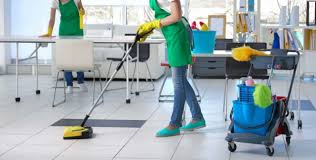 Fly Vip Cleaning Company - GTA & Surrounding Areas in Ontario - Image 3