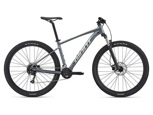 STOLEN: GIANT MOUNTAIN BIKE