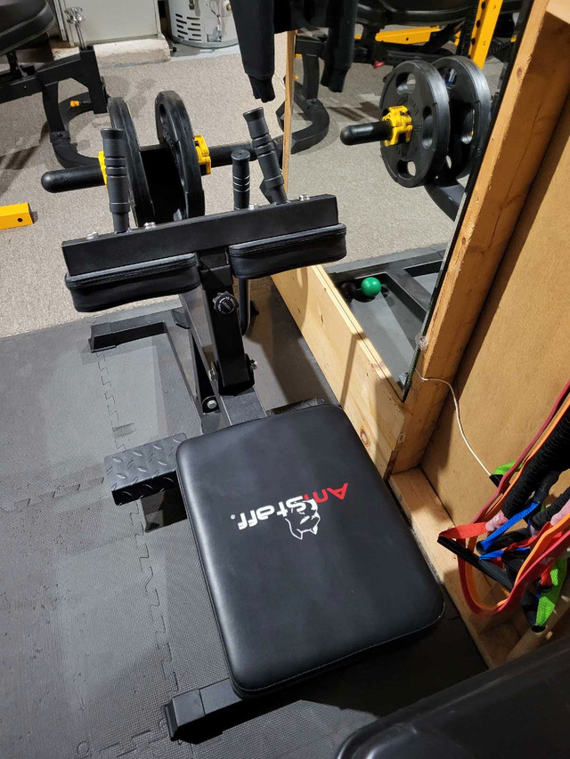 Leg sled & Seated calf in Exercise Equipment in St. Catharines - Image 3