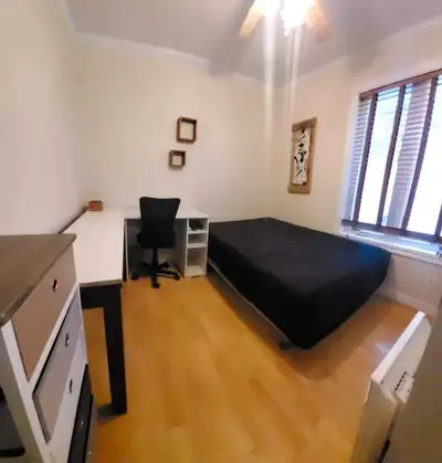 Chambre à Louer