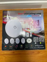 New Smart WiFi Ceiling Light, 24W  RGB LED Light 