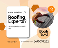 Roof Repair services