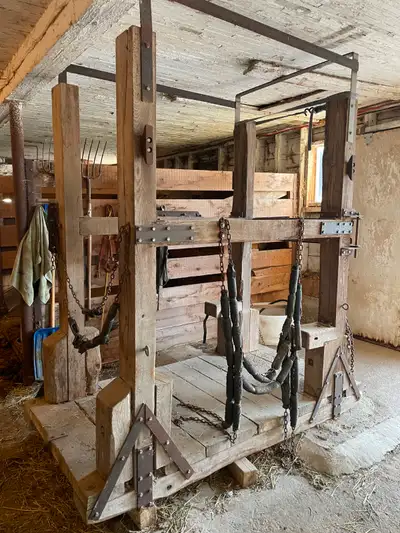 Horse Shoeing Stock, View more