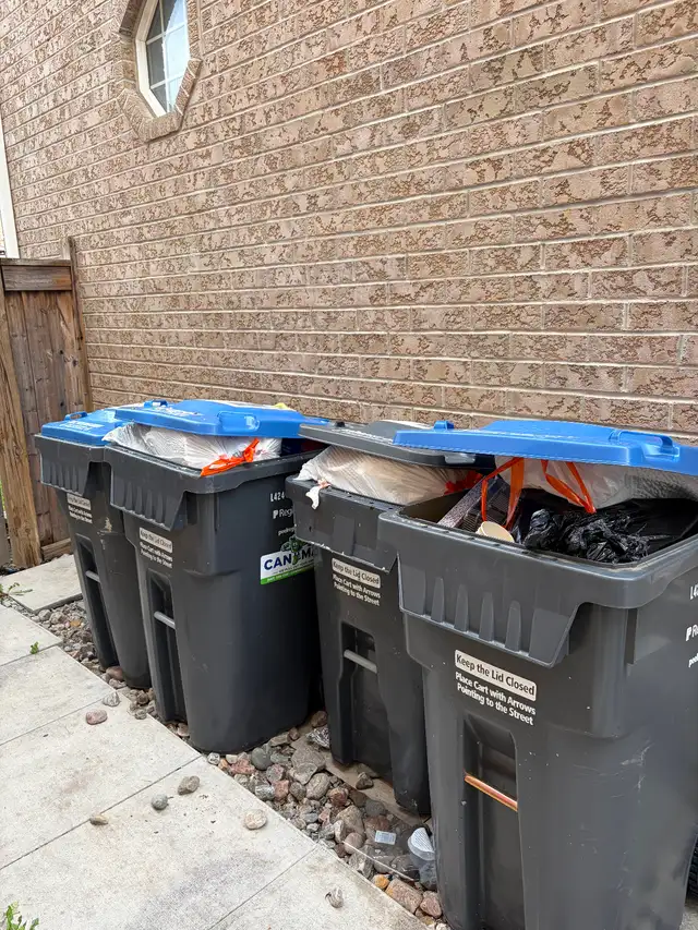 Martel’s garbage removal600046541986877442
