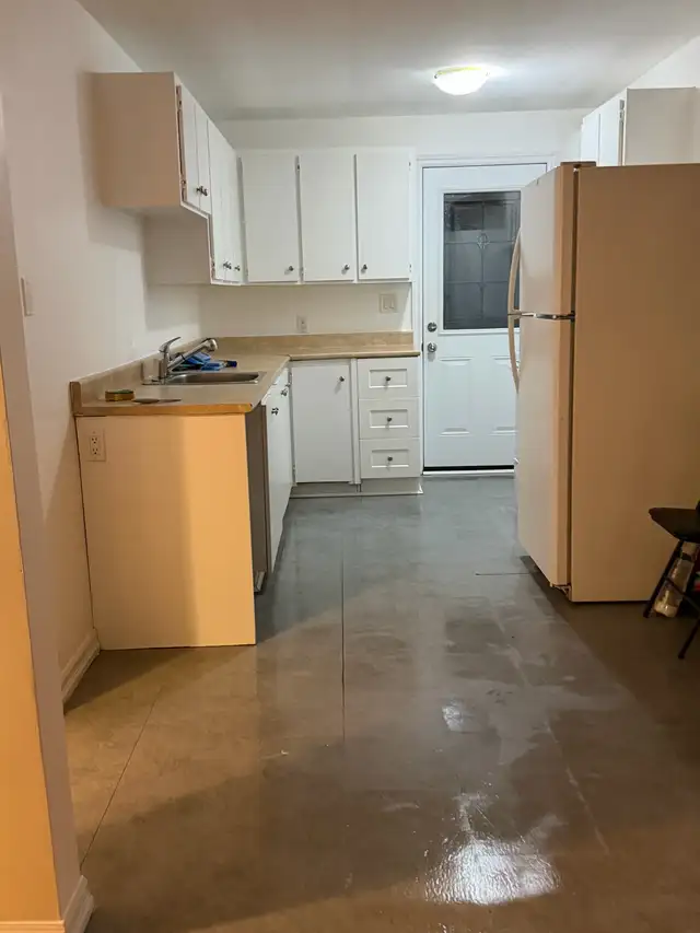 Cleaning services586915505777551364