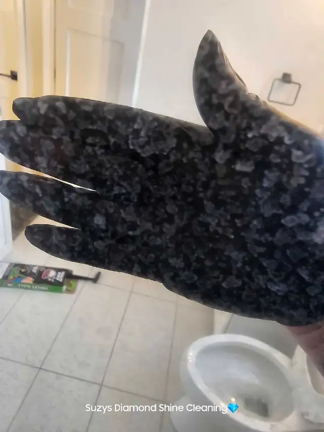 Suzys Diamond Shine Cleaning 