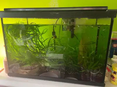 Aquarium with equipments available for sale. Tank measures L 24” x W 12” x H 16” & comes with its wa...