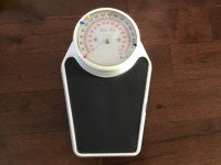 Professional scale