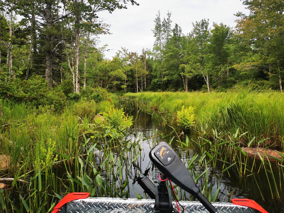 80 acres of paradise Land for Sale Bridgewater Kijiji