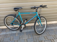 Norco Mountaineer SL - Bicycle for Sale (20" frame)