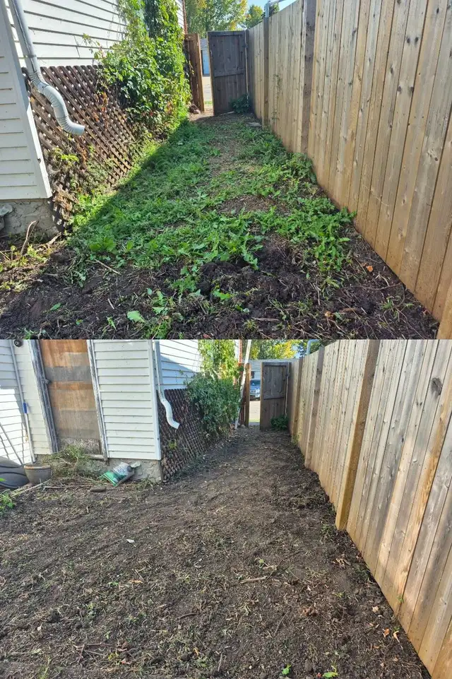 Sod installation460148142360514564