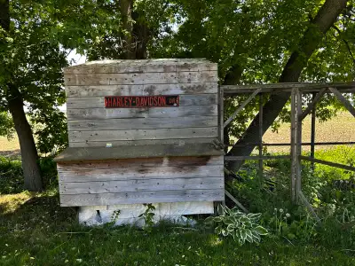 Ce poulailler en bois isolé offre un abri rustique et unique pour vos poules . La structure est bien...