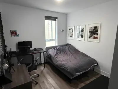 Uottawa Student Room For Rent 1 Year Lease $940