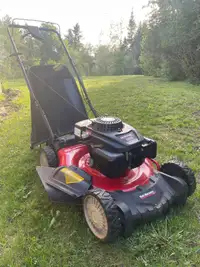 Lawn mower / Tondeuse