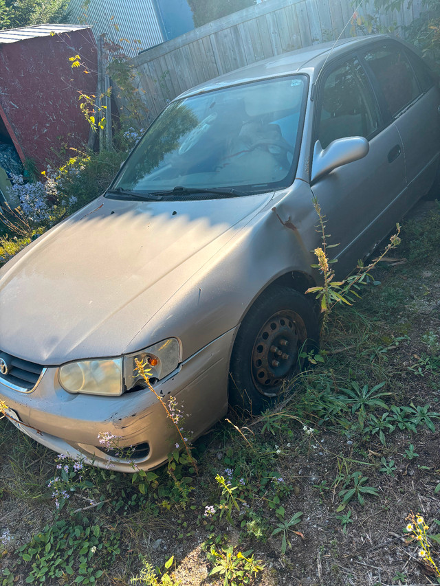 2001 Toyota Corolla MAKE ME AN OFFER in Cars & Trucks in Ottawa - Image 3