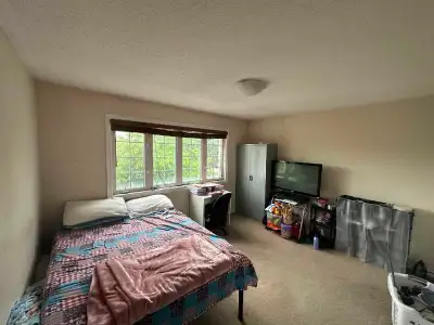 Sharing house with couple, close to Castlebrooke Secondary School, Brampton. Room available in 2 sto...