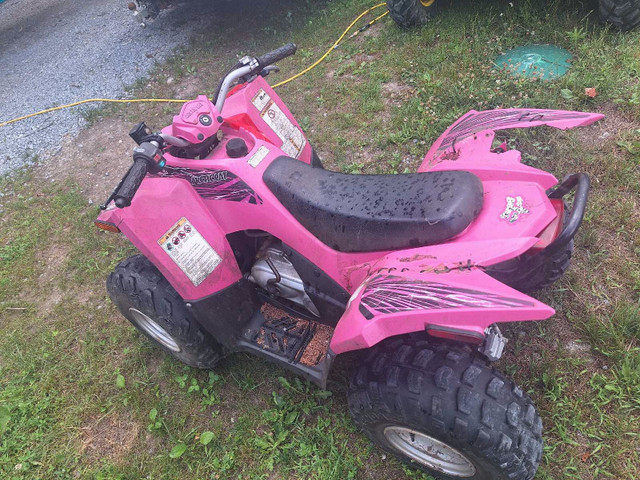 arctic cat dvx90 in ATVs in Kawartha Lakes - Image 2