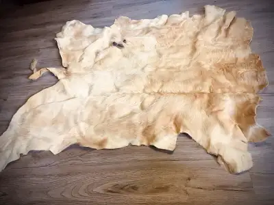 COWHIDE  Rug    -  LOWER PRICE , View more