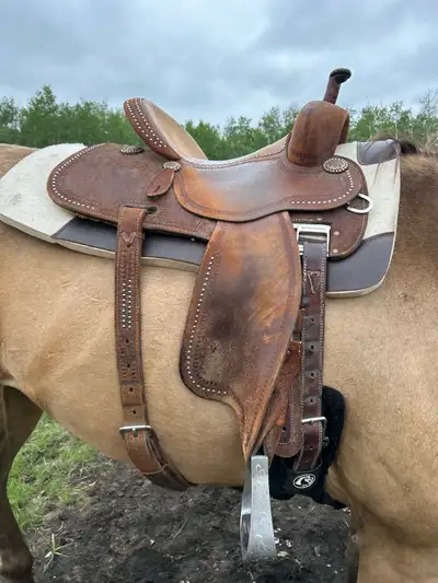 Martin barrel saddle, View more