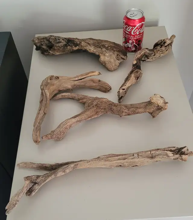 Petit Bois Flotté pour Aquarium Decorating Small Driftwood in Hobbies & Crafts in Laval / North Shore - Image 6