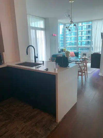Furnished 2B2Ba downtown (incl hydro & parking)