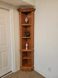 Beautiful hand crafted corner curio/bookcase