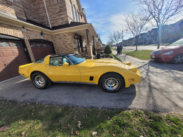 1980 Chevrolet Corvette in Classic Cars in Markham / York Region - Image 2