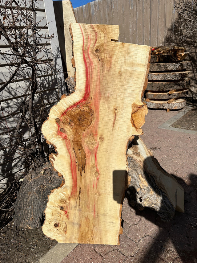Live edge Manitoba maple burl slabs  in Hobbies & Crafts in Calgary - Image 4