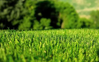 Offering grass cutting services & property maintenance for the summer season. Call or text 647-891-5...