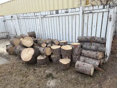 Free Fire Wood - Pickup in Glen meadows SW, View more