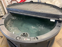 110v Plug & Play Hot Tub