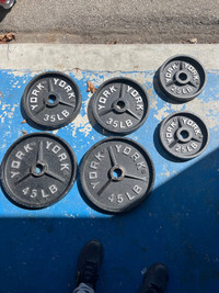 Olympic barbell plus weights 