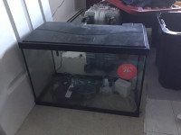 20 gallon fish tank with accessories 